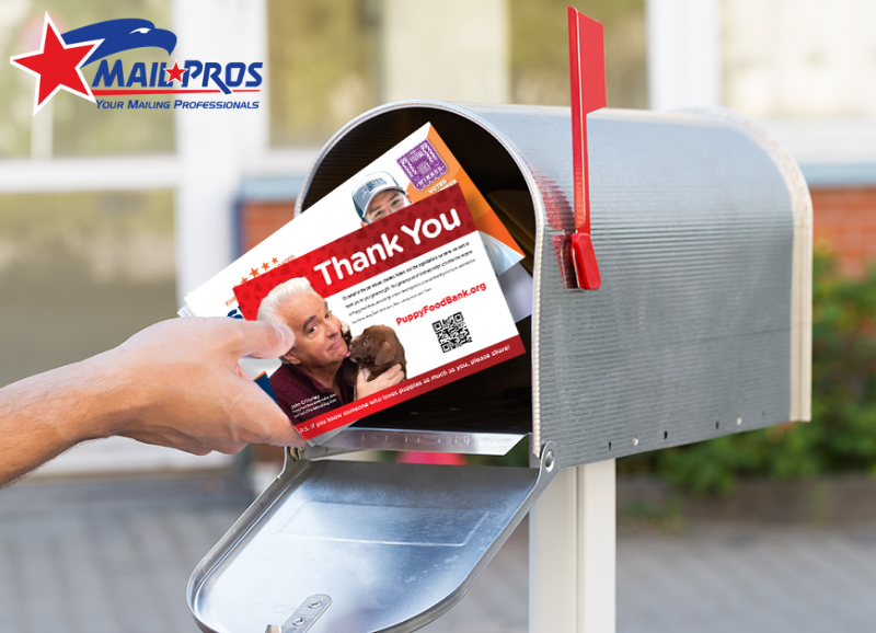 How to Start a Direct Mail Marketing Business With Low Investment