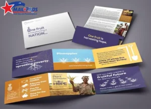 Fundraising Mailer